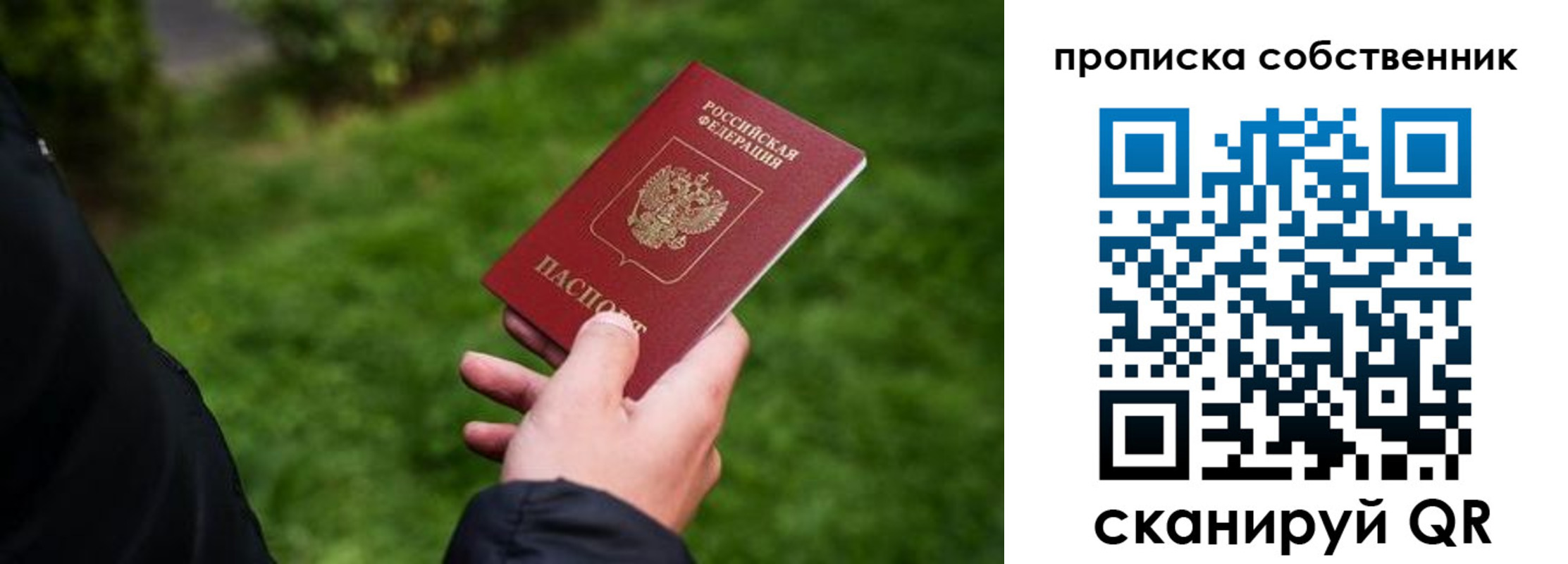 временная регистрация гарантия в Ивантеевке